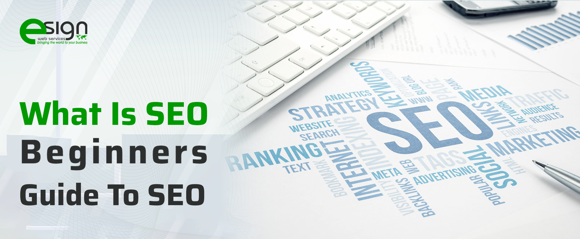 What is SEO: A Beginner's Guide to Search Engine Optimization