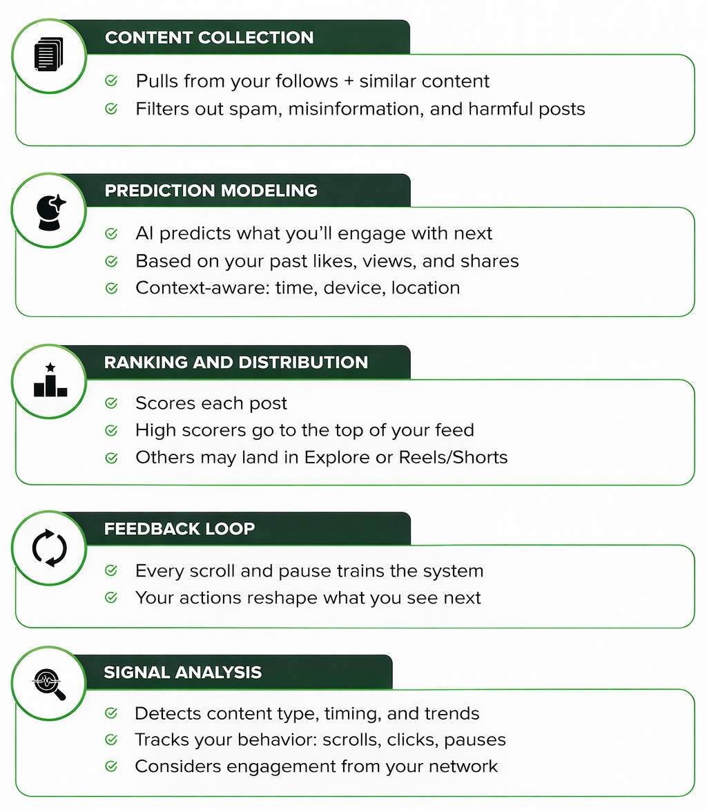 How-Social-Media-Algorithms-Work-in-2026