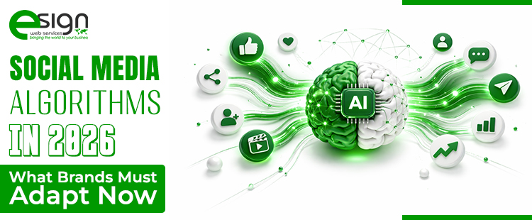 Social-Media-Algorithms-in-2026