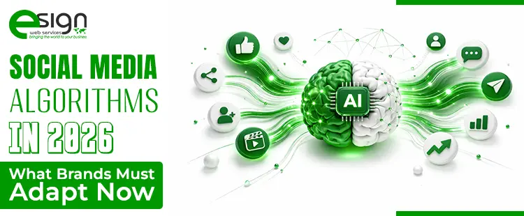 Social Media Algorithms in 2026: What Brands Must Adapt Now