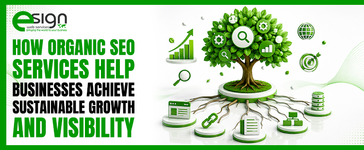Search Engine Optimization Service