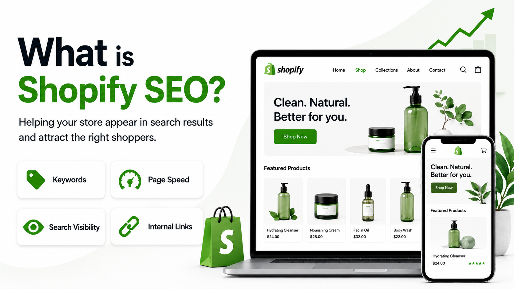 what is shopify seo