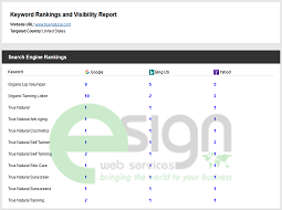 SEO Ranking Report