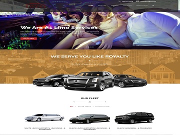 Web Design Portfolio Web Design Portfolio